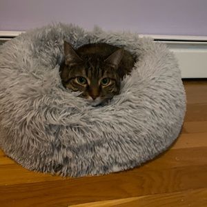 Meet your Posher, Alexis